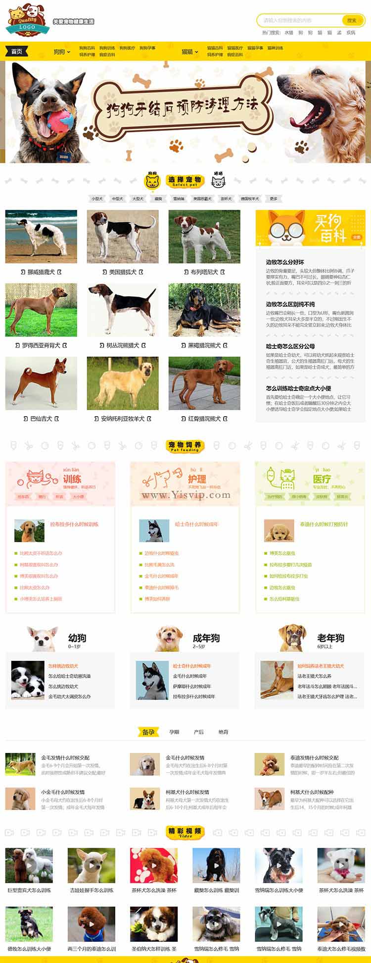 帝國cms《小可愛寵物網》寵物模板,寵物源碼簡潔大氣帶手機同步插件 帝國cms《小可愛寵物網》寵物模板,寵物源碼簡潔大氣帶手機同步插件 第1張