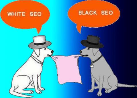 白帽SEO技術怎么做？(seo白帽是什么意思) 第1張