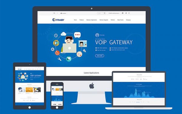 普通企業(yè)站seo優(yōu)化策略 企業(yè)網(wǎng)站優(yōu)化技巧 第1張