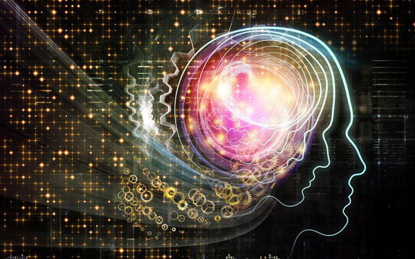 網站排名的高低取決于高質量內容與用戶體驗