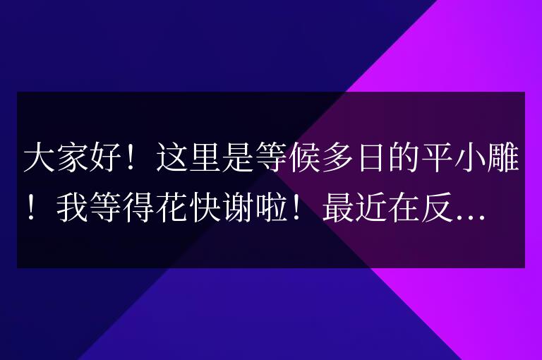 搜索問答劇場 【二】“站點logo”常見問題解析