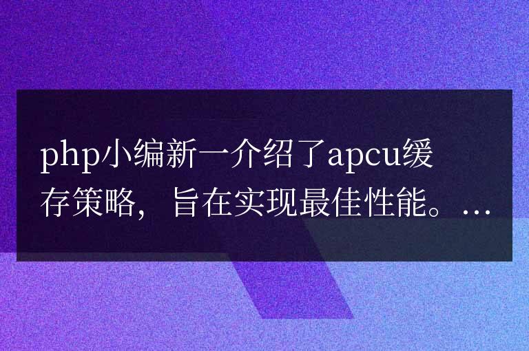 APCu 緩存策略:實現(xiàn)最佳性能
