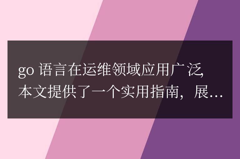 Go 語言助力高效運(yùn)維:實(shí)踐指南