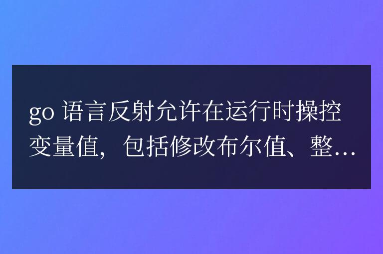 golang 如何使用反射動態修改變量值